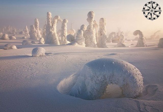Los Centinelas del Ártico en la Laponia Finlandesa. | Coordenadas ...