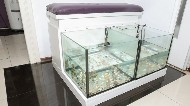 pedicura de spa de pescado