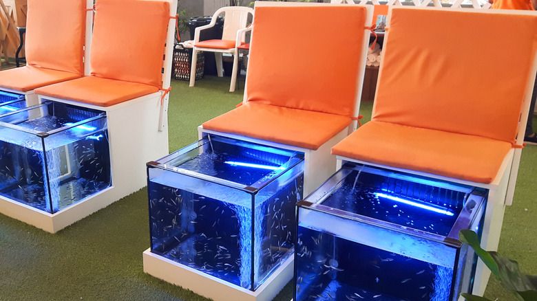 pedicura de spa de pescado